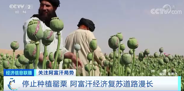 價格翻番,全球都在“搶鋰”!阿富汗坐擁萬億美元鋰礦,將成“鋰礦界的沙特”?