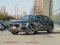 WQ8 2019  55 TFSI xӸ_D1