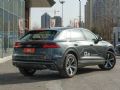 WQ8 2019  55 TFSI xӸ_D5