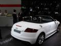 2011 WTT Roadster 2.0TFSI