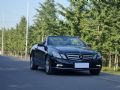 2010 YE E350 