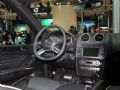 2010 YML(j) ML 350 4MATICA